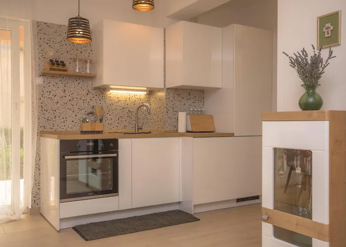 Elena * שיבניק