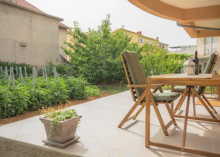 Elena * שיבניק